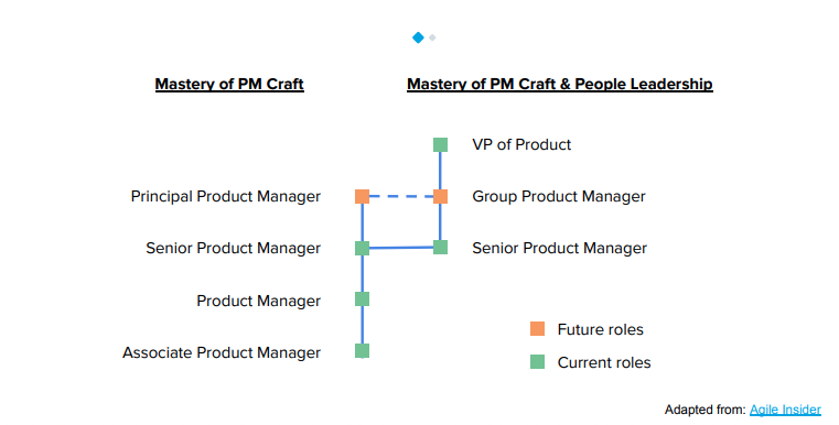 Individual contributor career track:
Associate PM > PM > Senior PM > Principal PM

People Leadership career track:
Senior PM > Group PM, VP of Product
